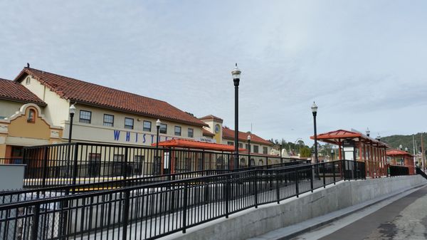 Vivalon Multi-Cultural