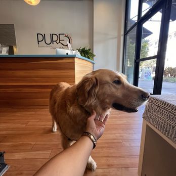 Pure Pilates Austin - Zilla! - Pilates Near Me - Austin, Texas Pure Pilates Austin - Zilla! - Pilates Near Me - Austin, Texas