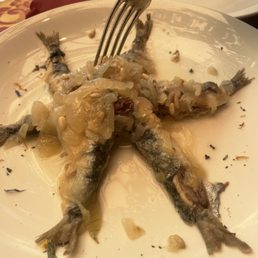 Sardines
