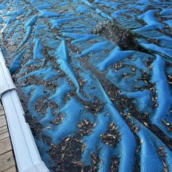 AquaGuard Solutions