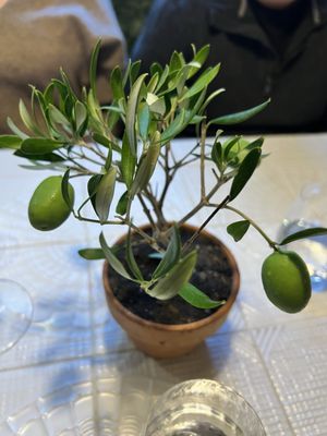 Le Christine by null