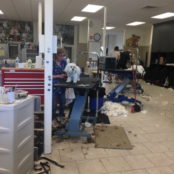 With Love From Head to Tail - Pet Groomers Near Me - Elmhurst, Illinois With Love From Head to Tail - Pet Groomers Near Me - Elmhurst, Illinois