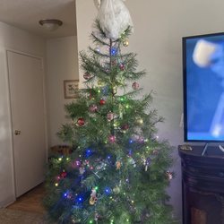 Wolf Mountain Nursery - Christmas Tree