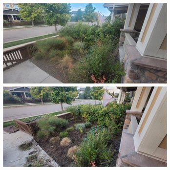 Mythical Landscaping - Late evening job up in Fort Collins which was a race against the dark able to get it done 3 hours. if you ask me job well done, Mythical - Landscaping Near Me Mythical Landscaping - Late evening job up in Fort Collins which was a race against the dark able to get it done 3 hours. if you ask me job well done, Mythical - Landscaping Near Me