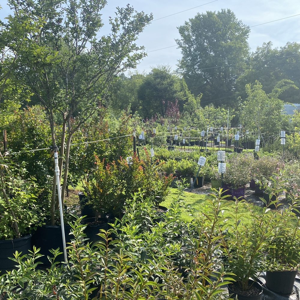 Mikes Growers Outlet - Nurseries & Gardening Near Me - Stanley, North Carolina