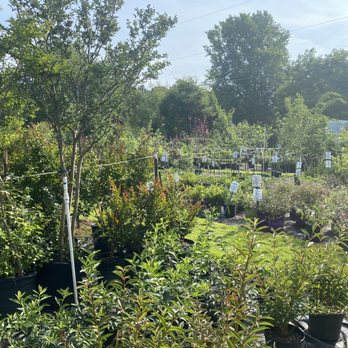 Mikes Growers Outlet - Nurseries & Gardening Near Me - Stanley, North Carolina Mikes Growers Outlet - Nurseries & Gardening Near Me - Stanley, North Carolina