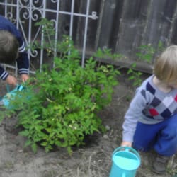 Kolobok Preschool
