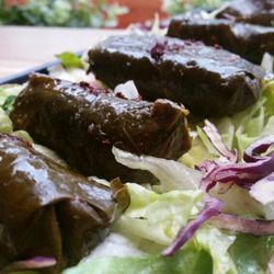 O'falafel - Vine leaves - light, healthy and refreshing
