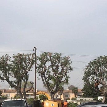 Green Oak Tree Care - two cars parked in a parking lot - Tree Services Near Me