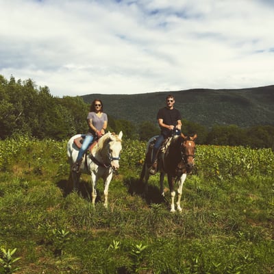 Mountain View Ranch by null