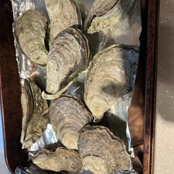 Weskeag Oyster Co - Jumbo oysters