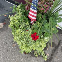 Country Market
