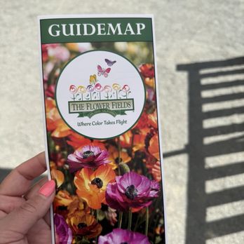 The Flower Fields - Venues & Event Spaces Near Me - Carlsbad, California