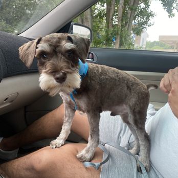 Planet Pet Spa - Pet Groomers Near Me - San Antonio, Texas