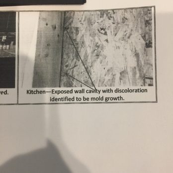 SaniCare - A professional that sees the mold. Not Sanicare. - The image depicts a section of a kitchen wall cavity in black and white, highlighting areas with discoloration and mold growth. The photo includes annotations pointing to specific spots on the wall cavity, indicating mold presence. The caption notes that the cavity has discoloration identified as mold growth, suggesting a need for mold remediation or repair. - Carpet Cleaning Near Me - Albuquerque, New Mexico