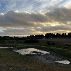 Elk Valley Casino - The field in the front with elks