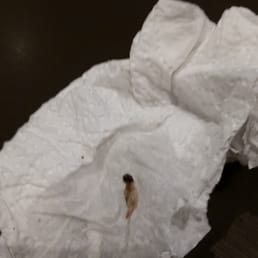 a piece of paper with a piece of pizza on it a piece of paper with a piece of pizza on it