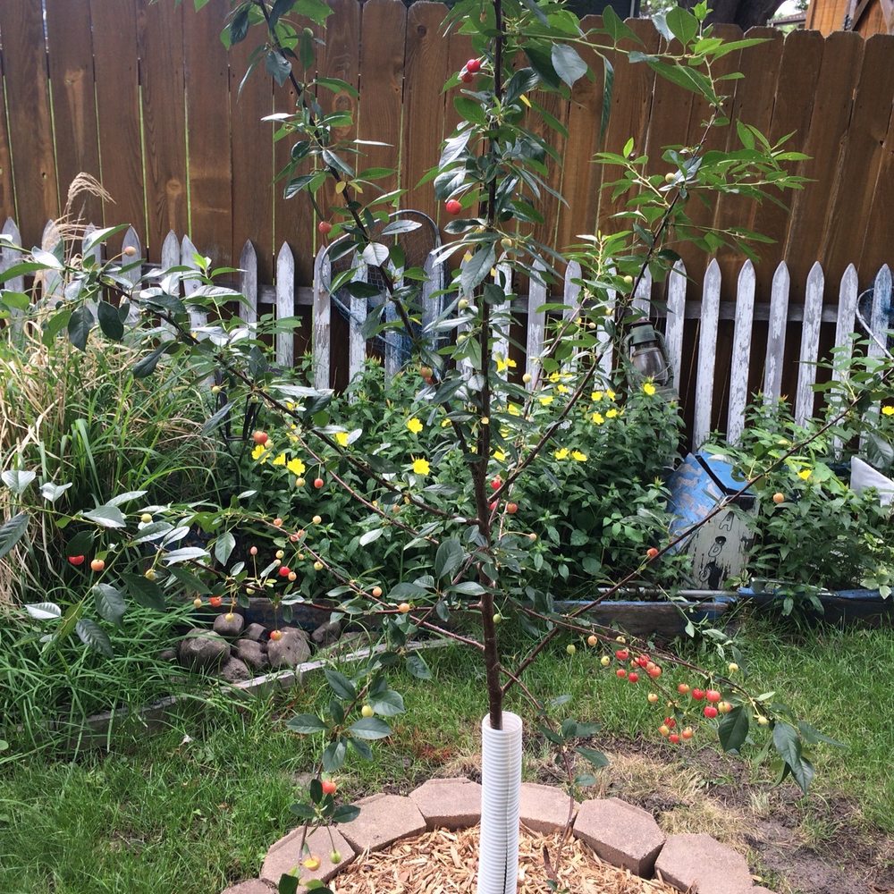 Mickman Brothers - Nurseries & Gardening Near Me - Ham Lake, Minnesota