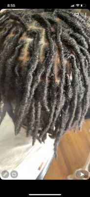 DD’s Designs by null