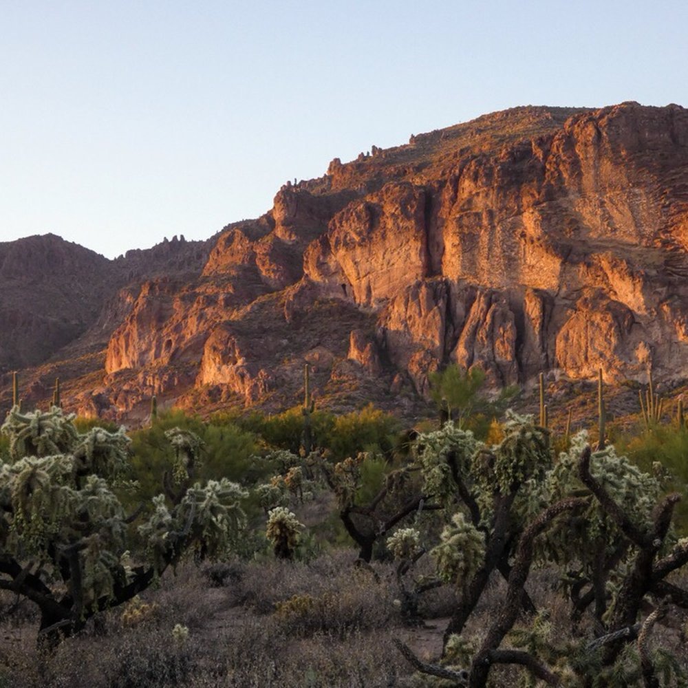 Cloth & Flame - The Superstition Mountains as our dinner backdrop - Party & Event Planning Near Me - Phoenix, Arizona Cloth & Flame - The Superstition Mountains as our dinner backdrop - Party & Event Planning Near Me - Phoenix, Arizona