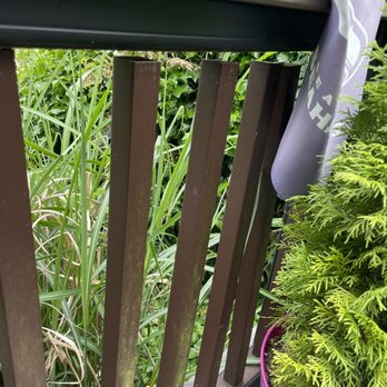 Deck Guru - Decks & Railing Near Me - Bellevue, Washington