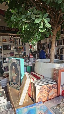 Sag Harbor Books by null