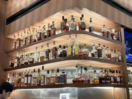 Gemma Fish + Oyster by null