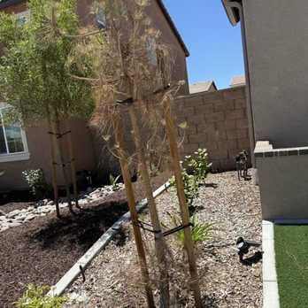 Elite Landscaping - Landscaping Near Me Elite Landscaping - Landscaping Near Me