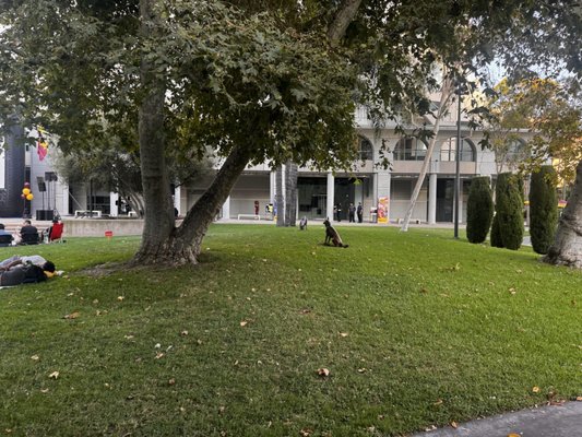 Grand Hope Park by null