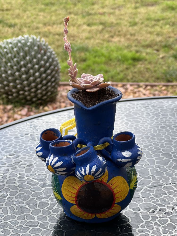Garcia Garden Succs Logo