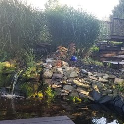 The Marshall House - Come enjoy the fish pond, listen to the frogs, relax on the deck