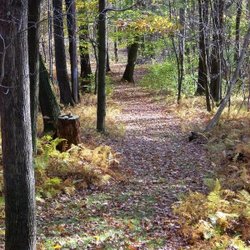 Blueberry Meadows - Section of on-site Kicky's Ridge Trail