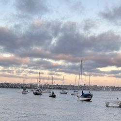 Shelter Island Marina