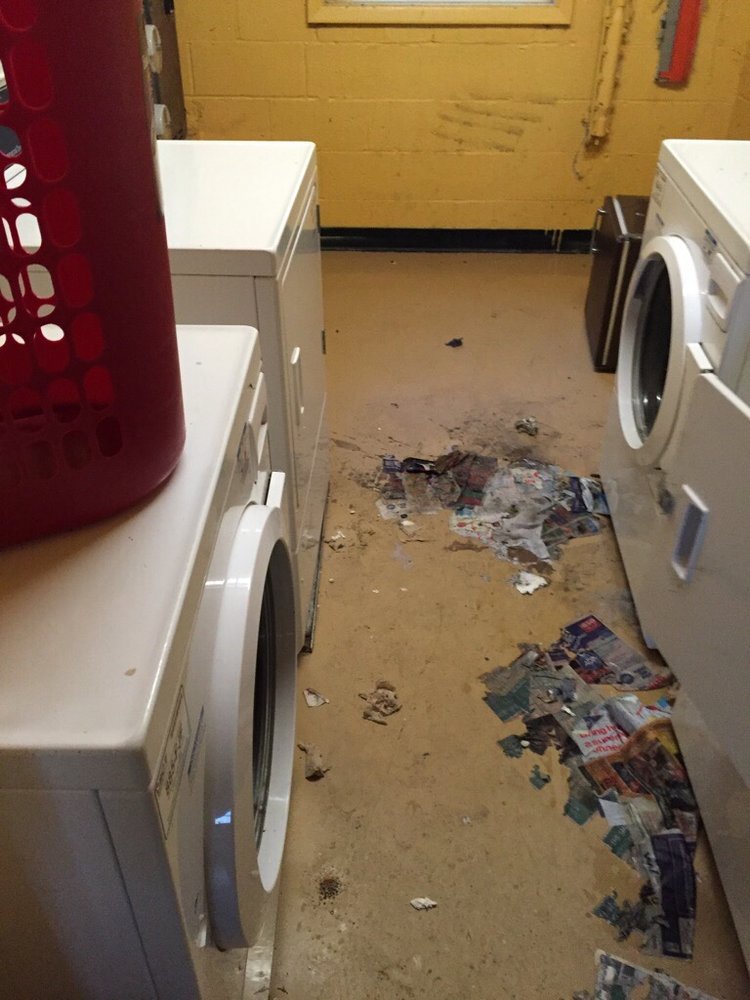 GARRISON FOREST APARTMENTS POOL Updated May 2024 6 Green Mountain