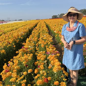 The Flower Fields - Venues & Event Spaces Near Me - Carlsbad, California