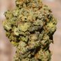 Photo of King Cloud Cannabis Dispensary