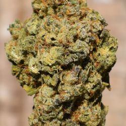 King Cloud Cannabis Dispensary