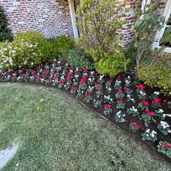 Rojo’s Landscaping