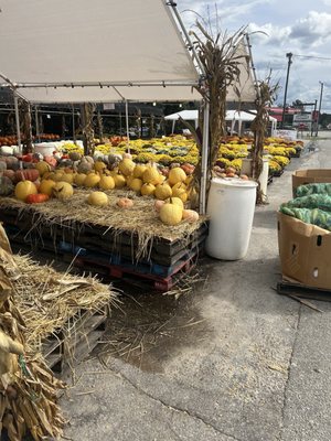 Cayce Farmer's Market by null