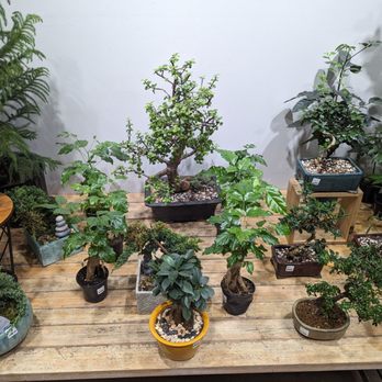 City Grows - Nurseries & Gardening Near Me - Pittsburgh, Pennsylvania City Grows - Nurseries & Gardening Near Me - Pittsburgh, Pennsylvania