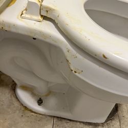 Dollar General - Feces all over the toilet