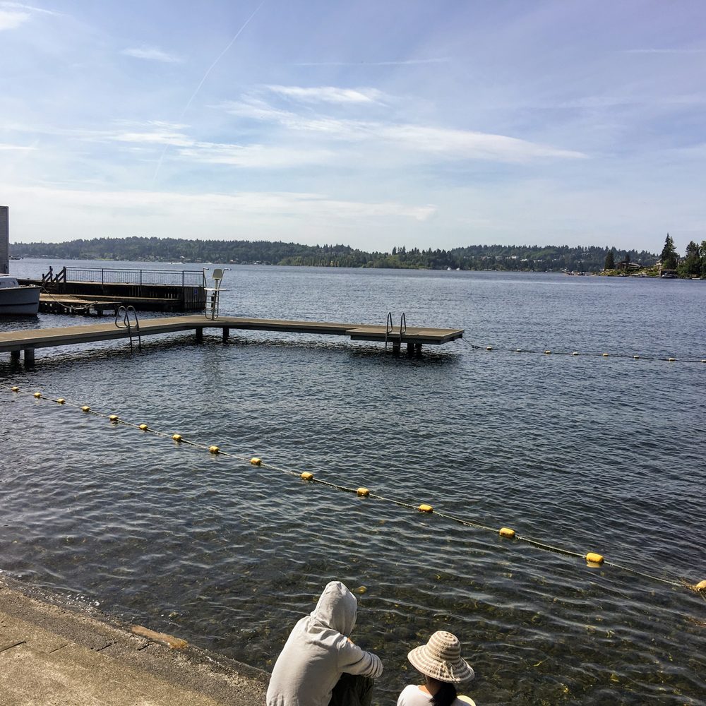 Clyde Beach Park - View of the swimming areas and dock. - Parks Near Me - Bellevue, Washington Clyde Beach Park - View of the swimming areas and dock. - Parks Near Me - Bellevue, Washington