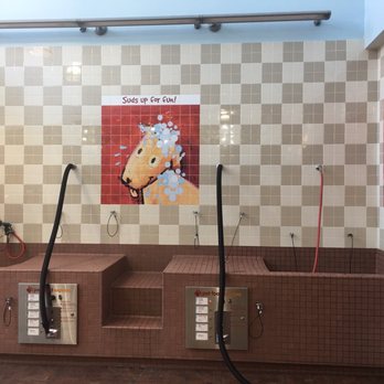 Pet Food Express - Self Service Dog Wash - Pet Stores Near Me - Pasadena, California Pet Food Express - Self Service Dog Wash - Pet Stores Near Me - Pasadena, California
