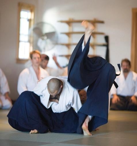 Brooklyn Aikikai Logo