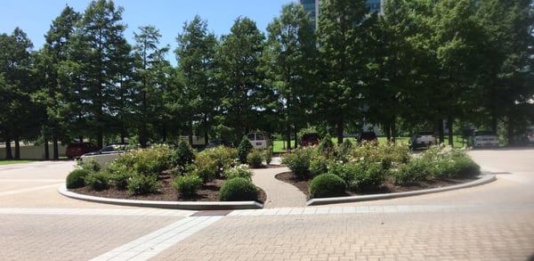 UT Southwestern Medical Center by null