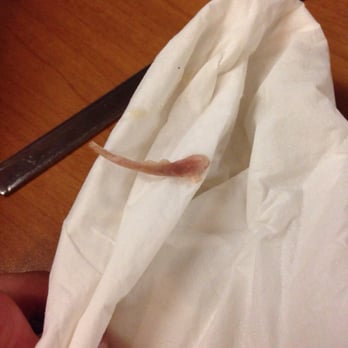 JD Campbell's - The bone I found in my meal. Small enough to choke on... I got a little $5 gift card from the restaurant to come back and use... - Bars Near Me - Peoria, Arizona