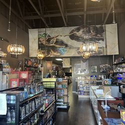Cardboardia - Retail area with rich ambiance