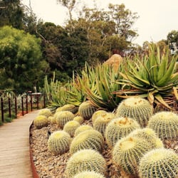Tan Track - Prickly situation