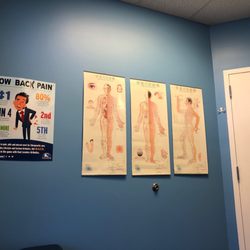 Photo of Preston Chiropractic and Acupuncture - Cary, NC, United States. Acupuncture wall charts