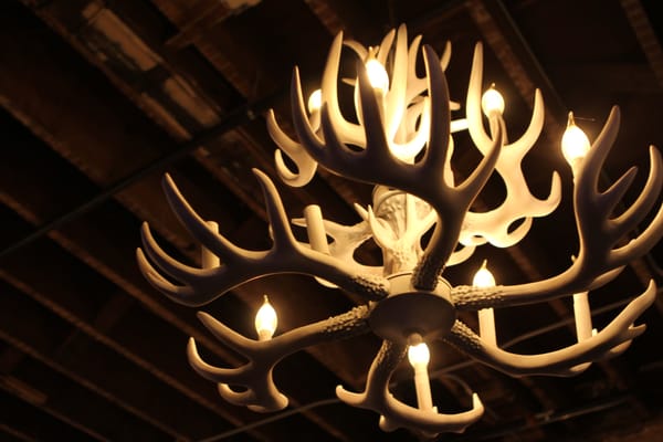 Larimer Beer Hall by null